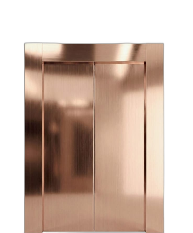 Rose Gold Hairline SS Door